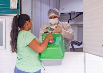 Calendário para agendamento de castração de cães e gatos é divulgado em Manaus