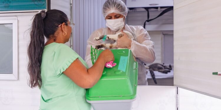 Calendário para agendamento de castração de cães e gatos é divulgado em Manaus