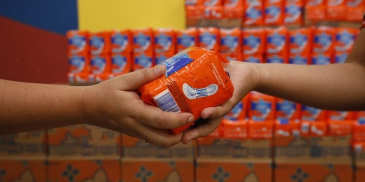 Absorventes Alunas Parintins