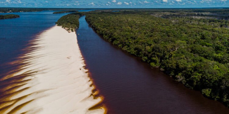 Amazonastur_BARCELOS_PRAIA GRANDE_ARQUIPÉLAGO DE MARIUA_FOTO JANAILTON FALCÃO (4)