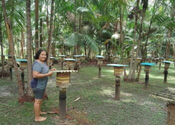 Criadores de abelhas de Boa Vista do Ramos receberam treinamento durante três dias (Divulgação/Idam)