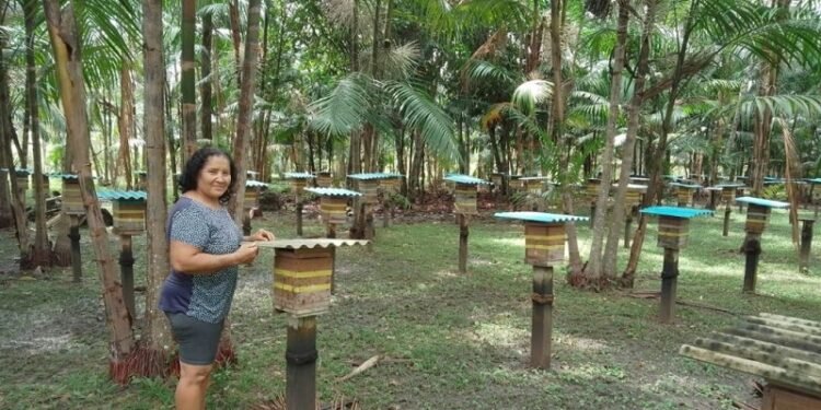 Criadores de abelhas de Boa Vista do Ramos receberam treinamento durante três dias (Divulgação/Idam)