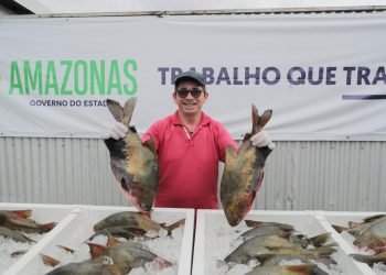 Doação Peixe Semana Santa