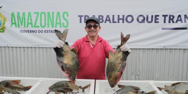 Doação Peixe Semana Santa