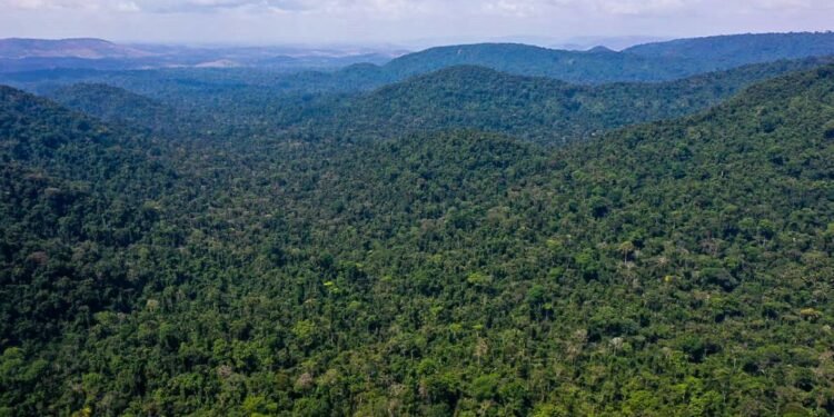 Fundo Amazônia Joe Biden Lula