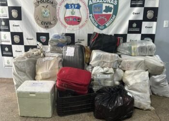 Incineração Polícia Civil Amazonas Coari