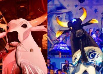 Festival Folclórico de Parintins é lançado em Brasília