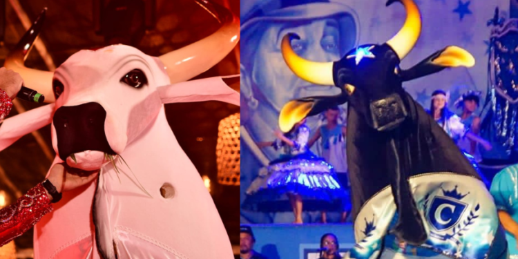 Festival Folclórico de Parintins é lançado em Brasília