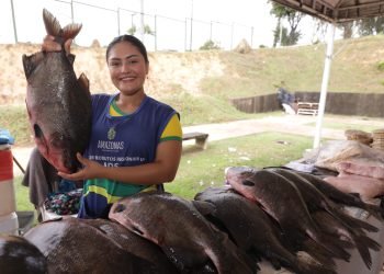 Feirão do Pescado em Manaus