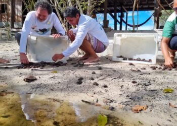 Agentes Ambientais Voluntários irão monitorar acordos de pesca no Rio Negro