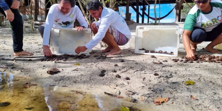 Agentes Ambientais Voluntários irão monitorar acordos de pesca no Rio Negro