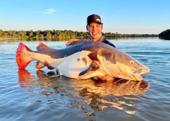 Antônio fisgou o exemplar em área de pesca esportiva legalizada no Rio Xingu, Mato Grosso (Reprodução/Instagram)