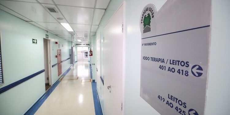 novos leitos e revitalização de Caimi