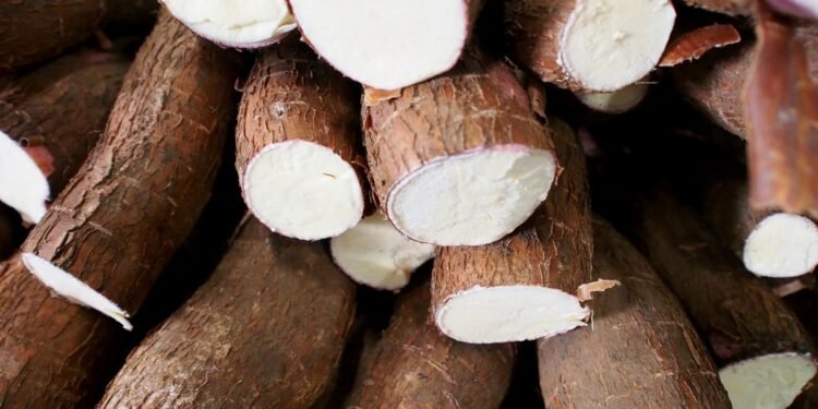 Balcão de Agronegócios registra maior movimentação de alimentos do ano em abril