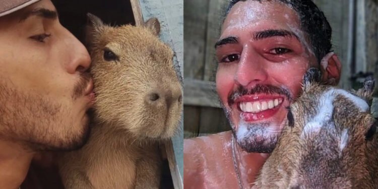 Capivara Filó Agenor animal silvestre