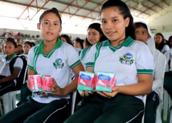 Dignidade Absorventes