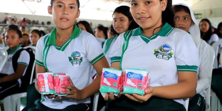 Dignidade Absorventes