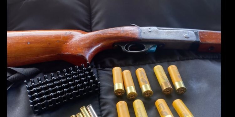 arma de fogo e munição