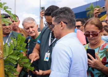 Prefeitura lança aplicativo para gerenciar ações de arborização em Manaus