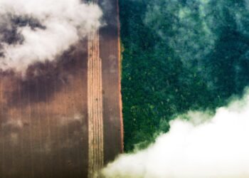 Amazônia Banco Central