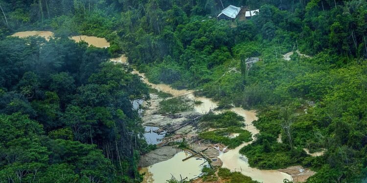 sobrevoo_funai-PF- depoimentos- ataque na Terra Yanomami
