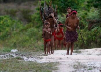 terra yanomami-roraima