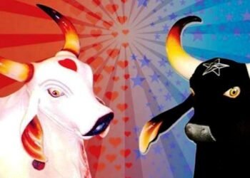 bumbás Caprichoso e Garantido