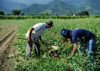 Ministério do Desenvolvimento Agrário, Plano Safra, Conab, Ceagesp, marco temporal
