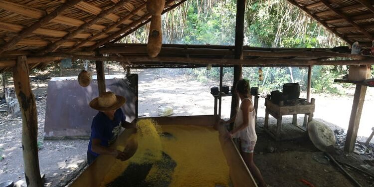 alimentação tradicional das crianças indígenas-agricultura