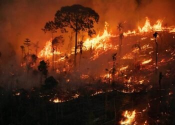 amazonia-super-el-nino