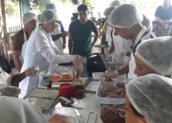 curso retirada peixe