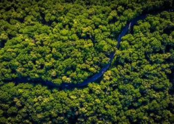 Dia Mundial Meio Ambiente