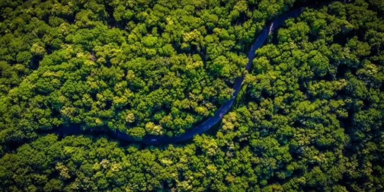 Dia Mundial Meio Ambiente