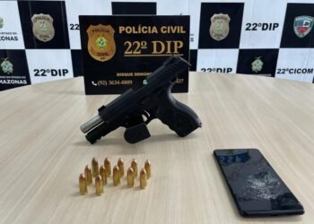 Arma de fogo, homem preso por furto