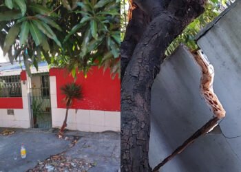 Reparação de danos casa vazamento Águas de Manaus