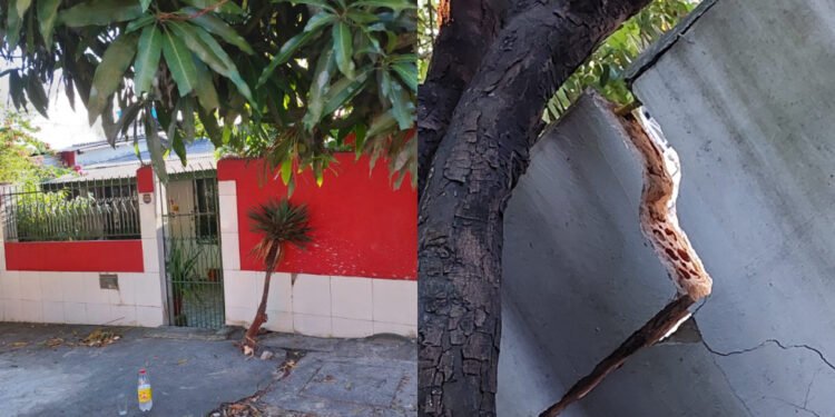 Reparação de danos casa vazamento Águas de Manaus