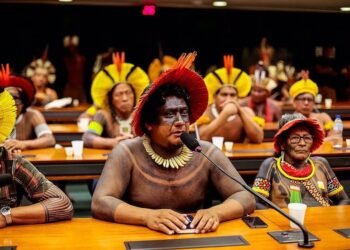 Indígenas Ferrogrão