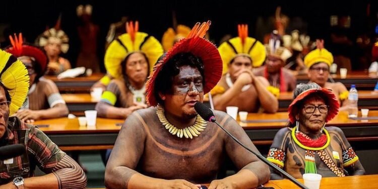 Indígenas Ferrogrão