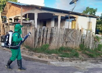 Informe-da-dengue-e-divulgado