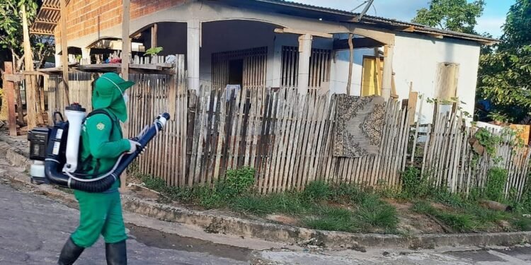 Informe-da-dengue-e-divulgado