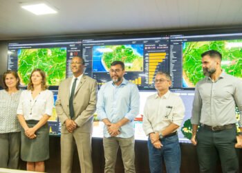 Incêndios Amazonas queimadas Amazônia