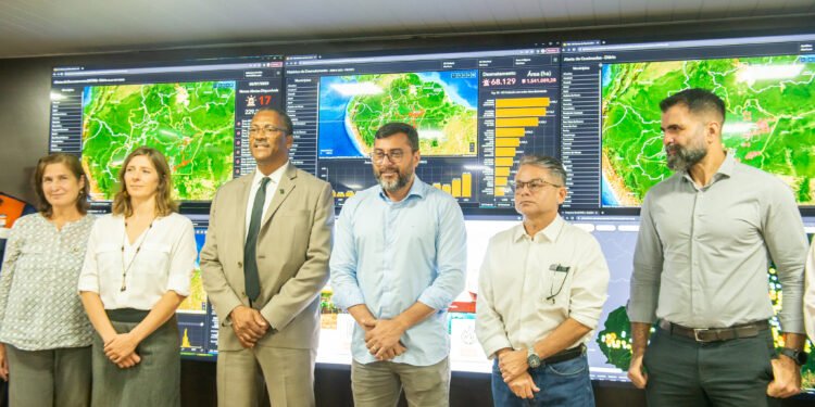 Incêndios Amazonas queimadas Amazônia