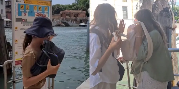 Mulher furtos internet