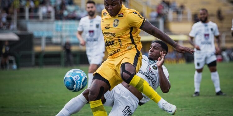 Onça-Pintada-serie c