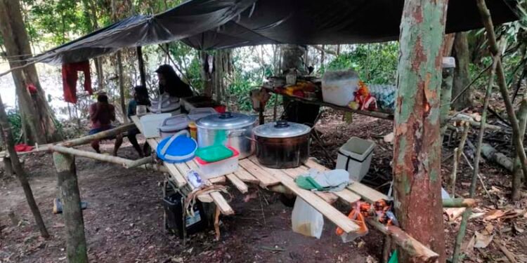 Trabalho escravo Amazonas