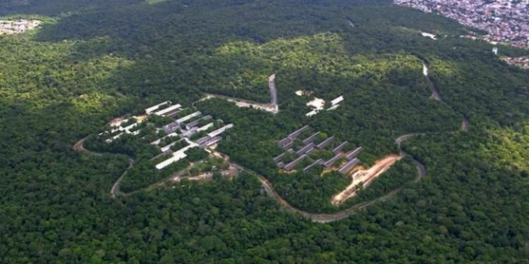 Dia de Proteção às Florestas Ufam fragmentos de floresta
