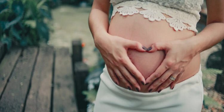 aumento nos casos de Zika, testes para gestantes