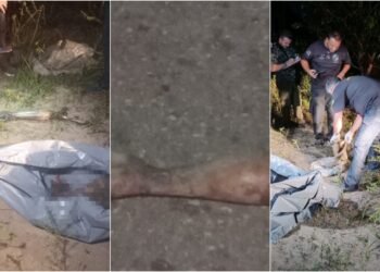 corpo na zona sul-esquartejado