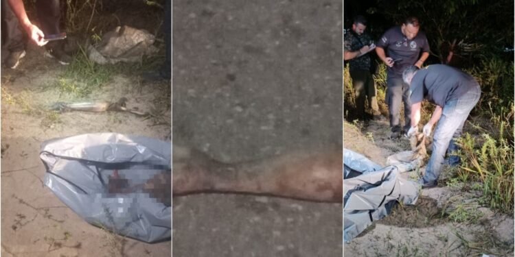 corpo na zona sul-esquartejado