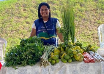 feira-presidente-figueiredo